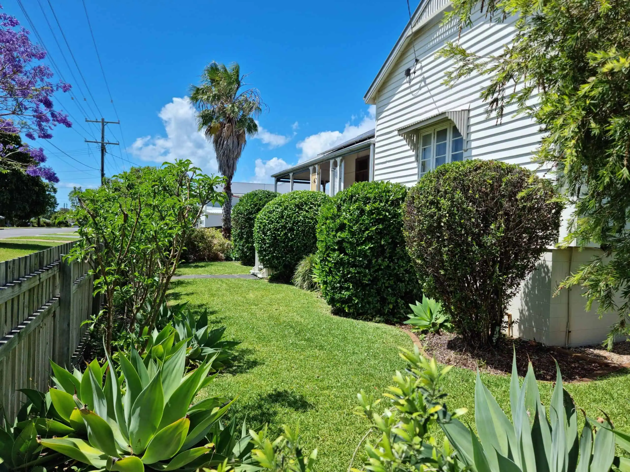 Beautiful garden after treatment