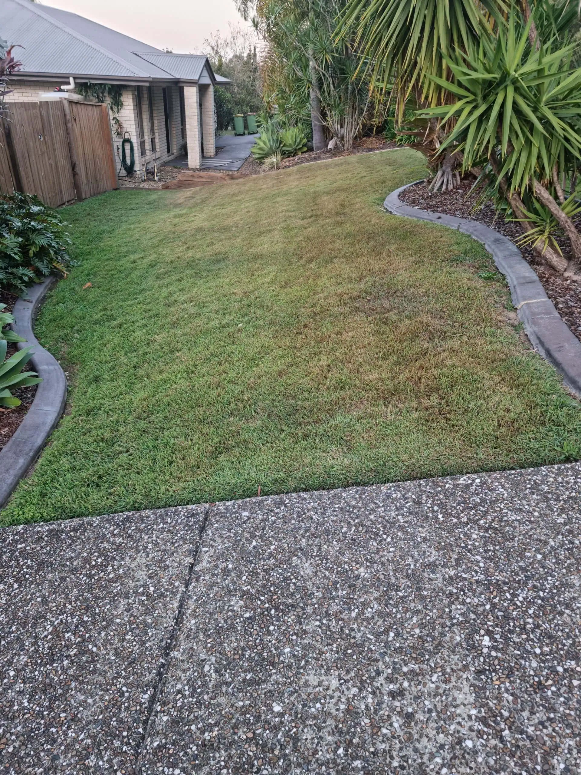 Lawn maintenance before treatment