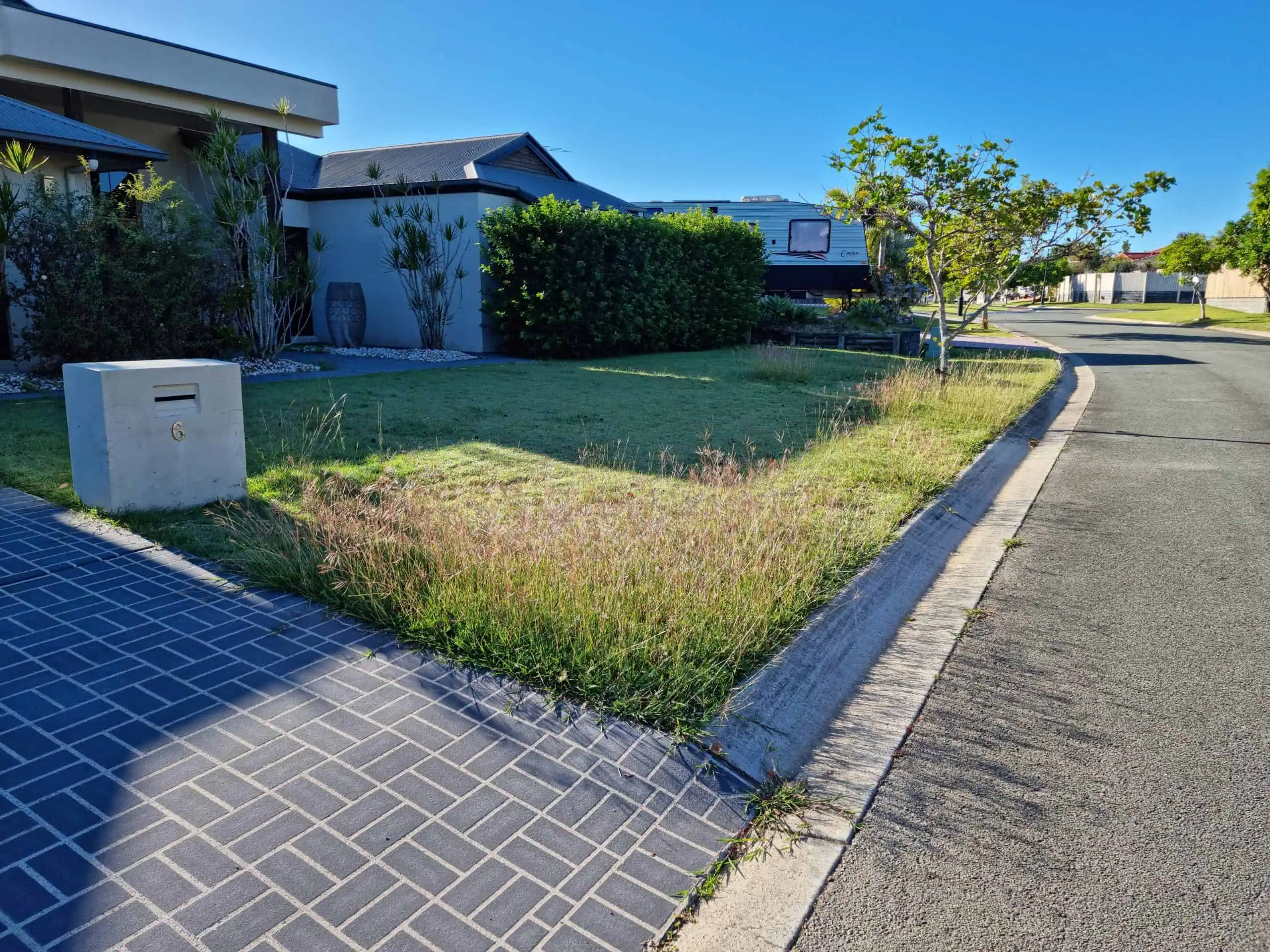 lawn maintenance before house 2