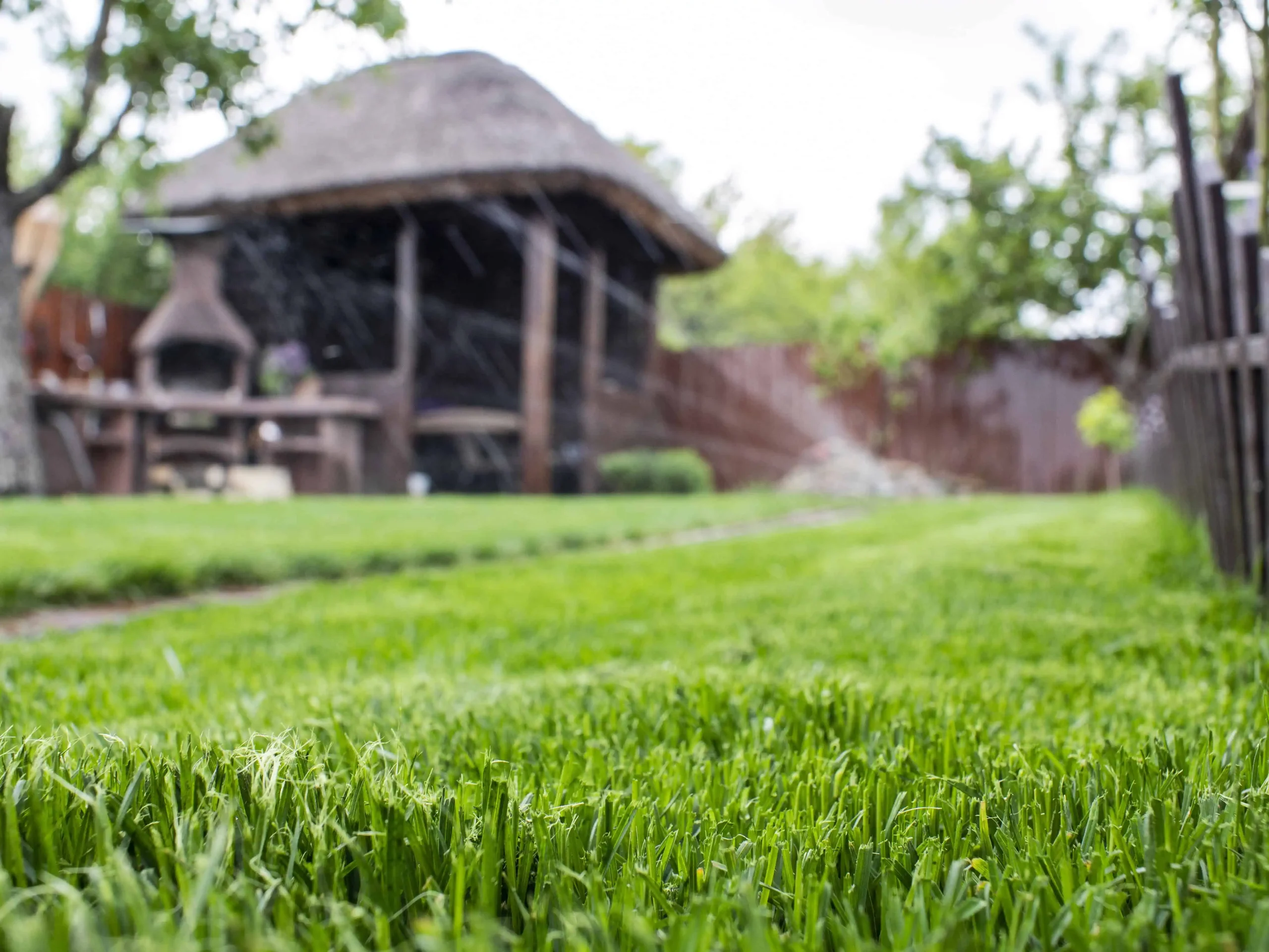 green-grass-in-the-yard-lawn-watering-works-wooden-arbor